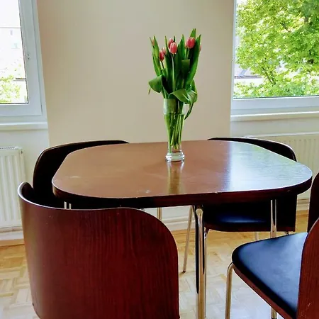Ringstrasse Apartment